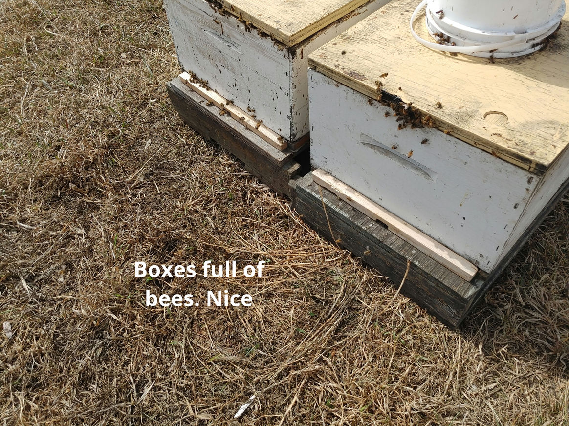 2021 Season photo 11